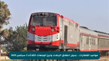 مواعيد القطارات.. جدول انطلاق الرحلات وأبرز الوجهات الثلاثاء 2 سبتمبر 2025